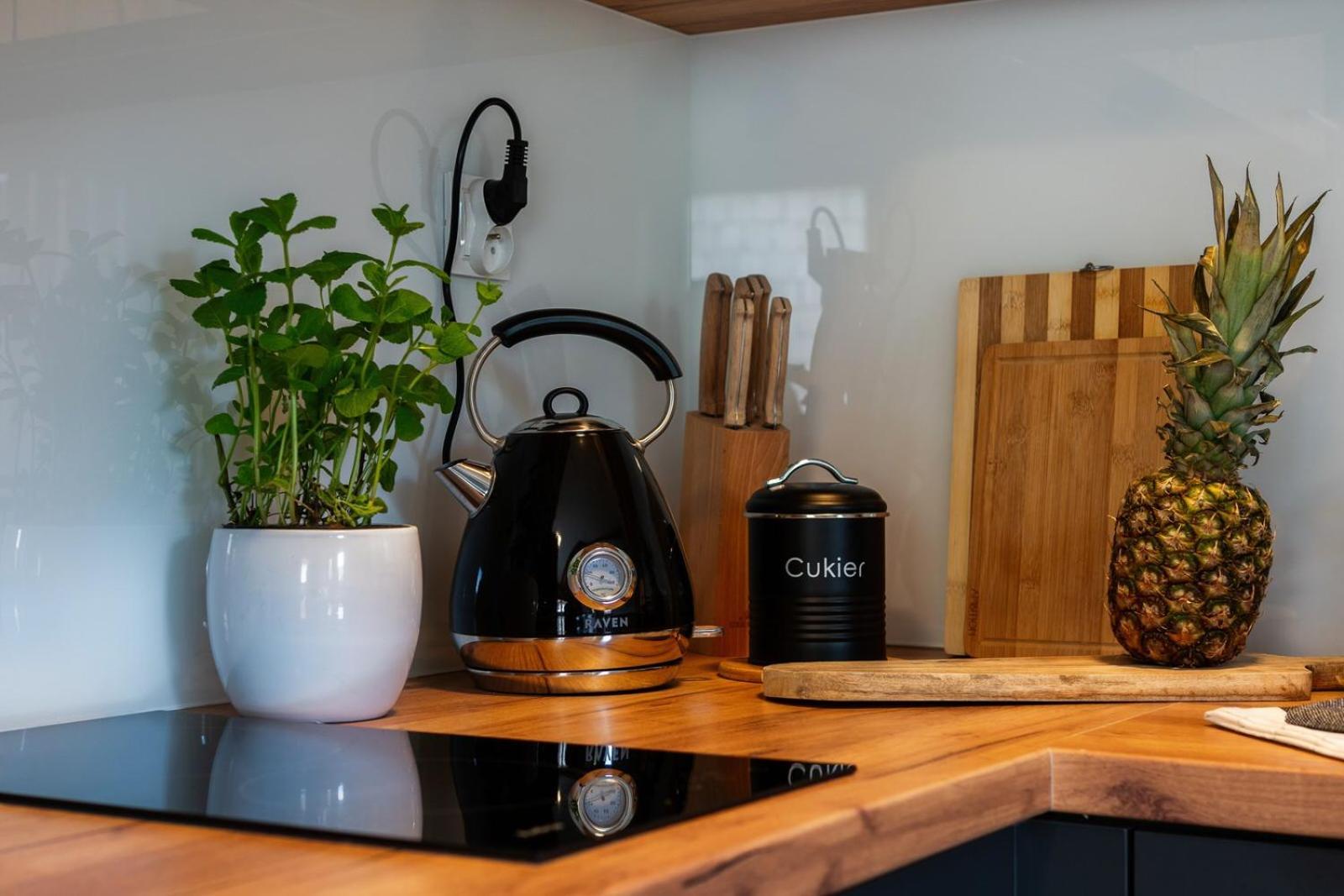 Apartamenty Rezydencja Karpielowka Kościelisko Rum bild